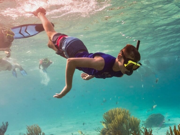 Discover the Top 7 Educational Summer Camps Featuring Fun Snorkeling and Sailing Adventures!