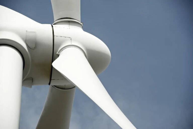Wind Energy Industry Questions Accuracy of Seabird Research Findings